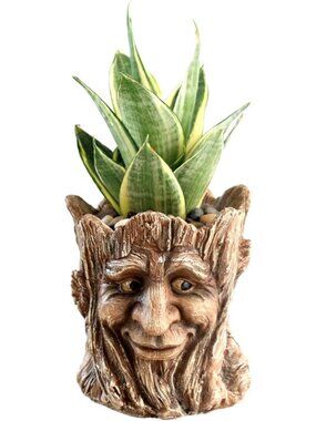 Funny Face Planter Pot with Drainage - Resin Succulent Holder & Desk Organizer